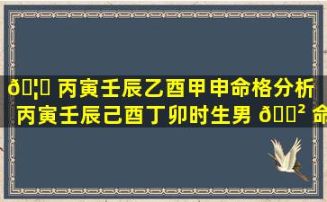 🦅 丙寅壬辰乙酉甲申命格分析（丙寅壬辰己酉丁卯时生男 🌲 命运详解）